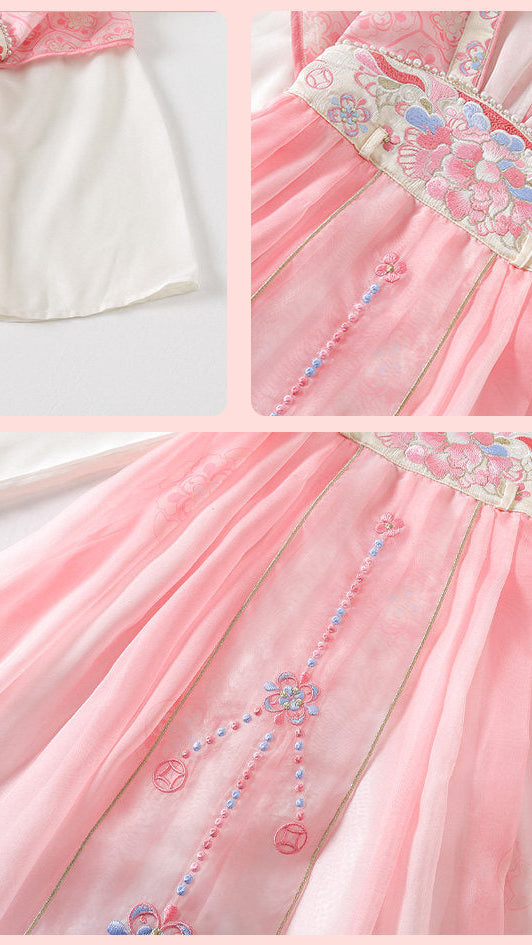 Collage of a pink traditional dress with intricate embroidery on a white background