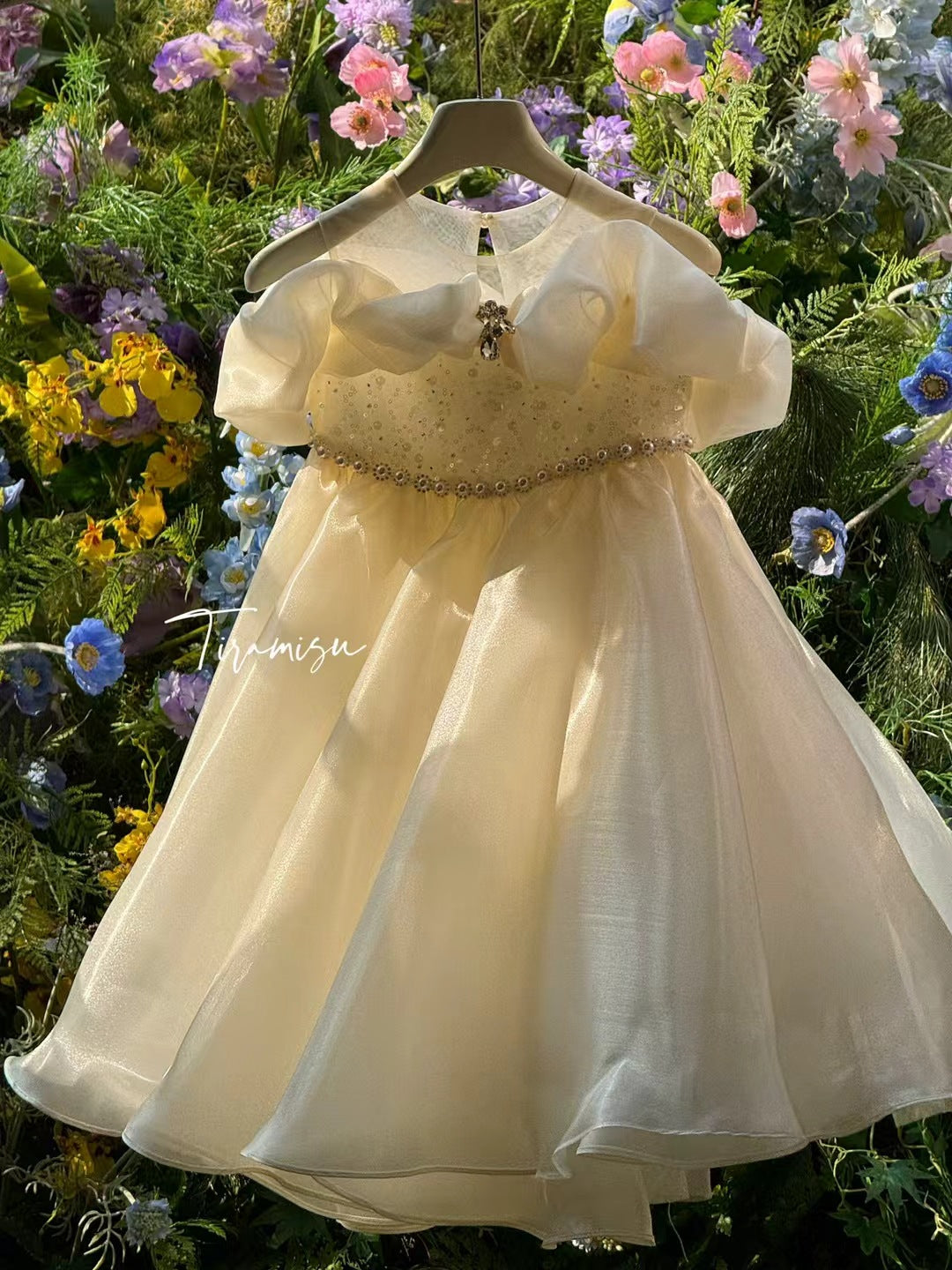 Tiramisu Girls Pearl Mist Princess Dress  (100-150/3y-12y)