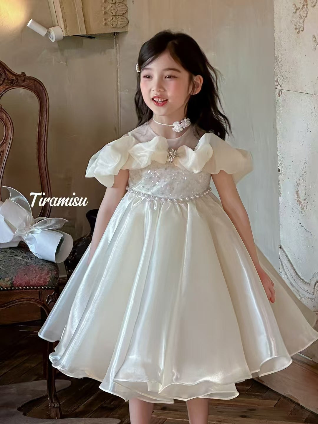 Tiramisu Girls Pearl Mist Princess Dress  (100-150/3y-12y)